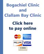 Bogachiel and Clallam Bay pay online button
